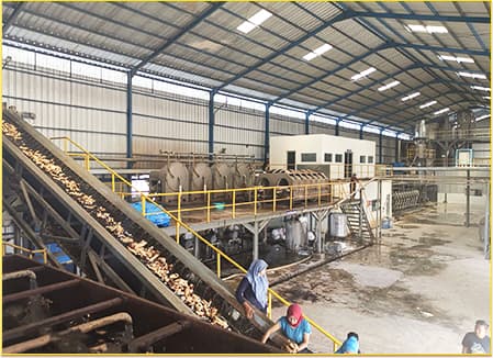 Cassava starch processing installation showing root conveyors and processing equipment inside a factory. Reference equipment photograph.
