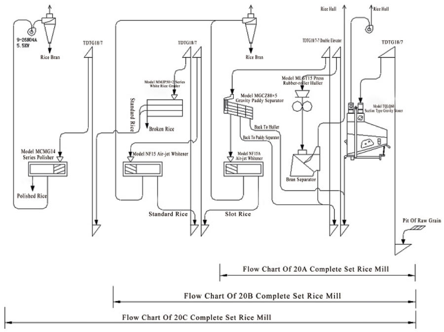 CTNM20 family diagram showing 20A, 20B and 20C processing boundaries